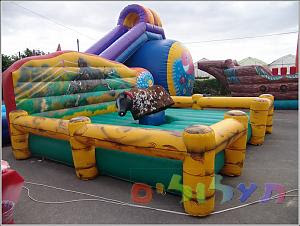 מתנפחים לימי הולדת במרכז